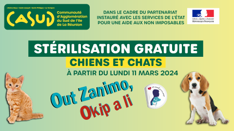 Stérilisation gratuite chiens & Chats