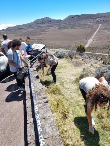 Picnic chemin Volcan & respect de l'environnement !