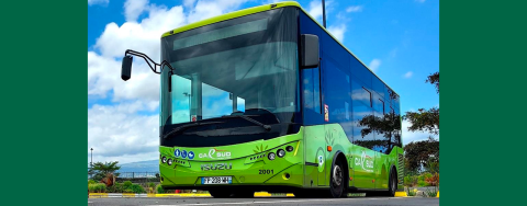 Gratuité des transports - Miel Vert 2025